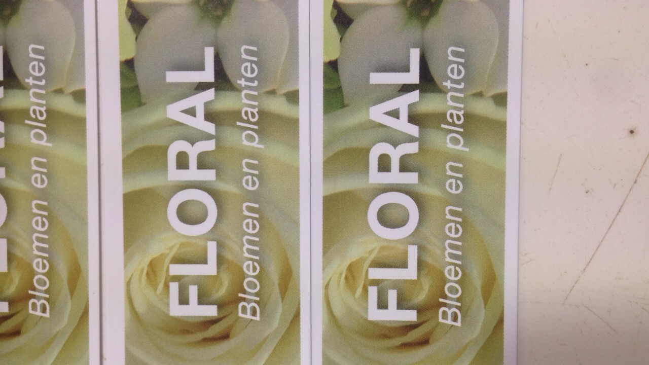 Floral (The Flowershop) Heist-op-den-Berg