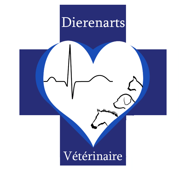 Dr. Dominique De Clercq LIEDEKERKE